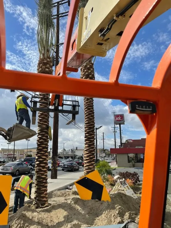 Custom yard maintenance with custom design in La Habra, CA by Benjamin Construction and Demo