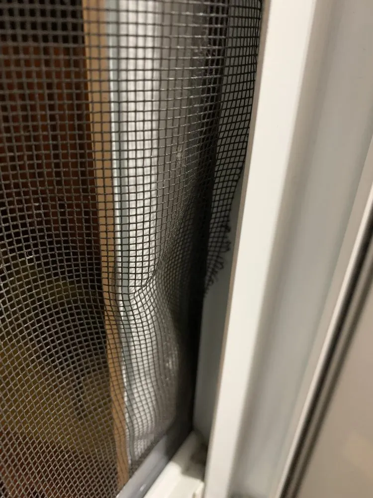 Top-rated residential landscaping in Erie, PA by Benjamin De Jesus Handyman Service