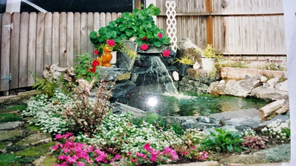 Expert residential landscaping in Matlock, WA by Benjamin Landscaping & Constuction