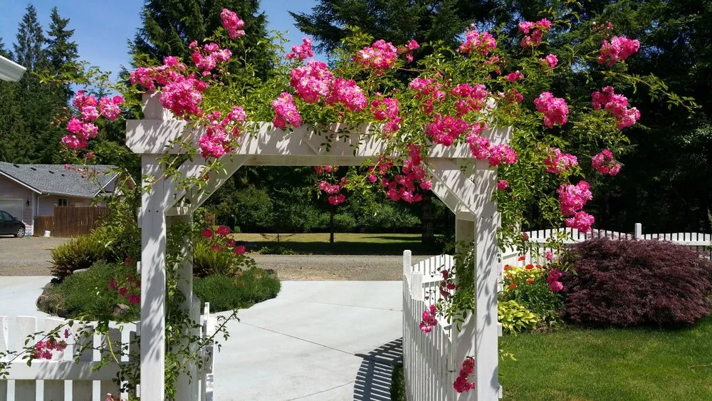 Local outdoor landscaping experts serving Matlock, WA - Benjamin Landscaping & Constuction