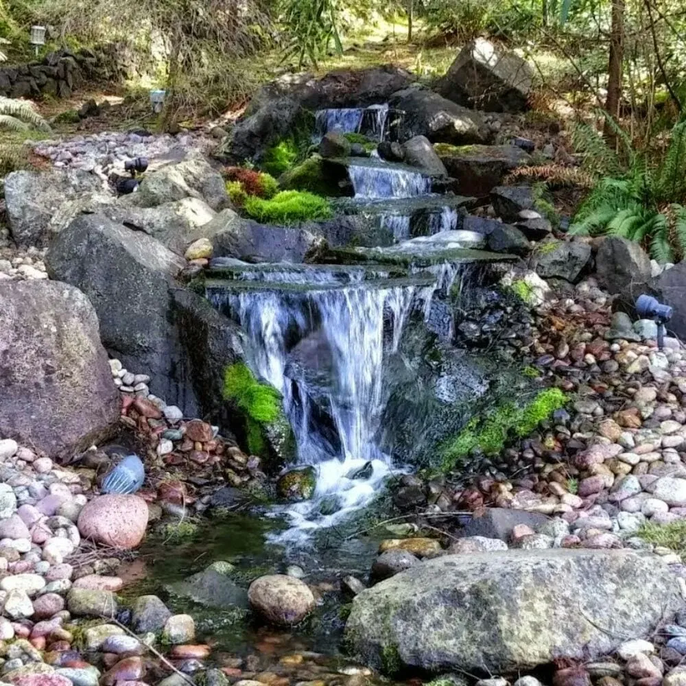 Affordable landscaping services in Olympia, WA by Benjamin Landscaping