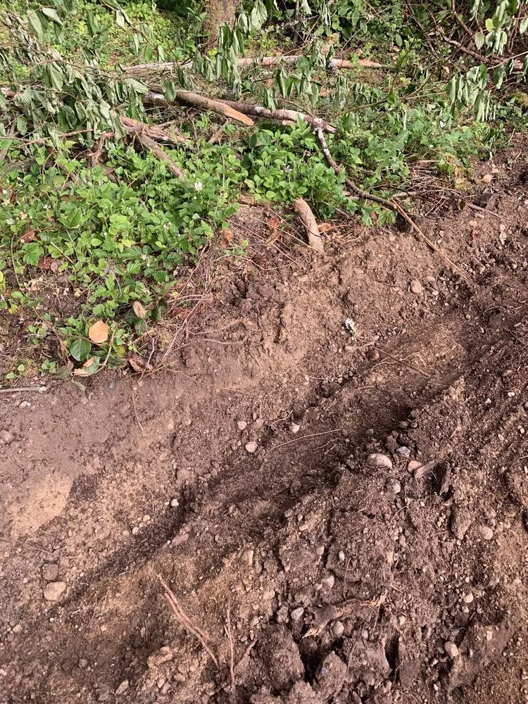 Affordable residential landscaping for outdoor upgrades in Olympia, WA by Benjamin Landscaping