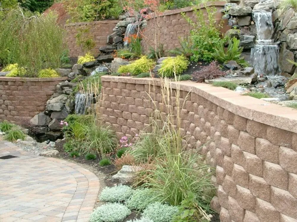 Affordable lawn care service experts serving Olympia, WA - Benjamin Landscaping