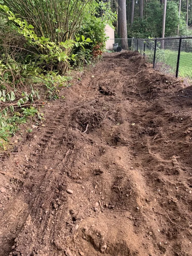 Custom outdoor landscaping for outdoor upgrades in Olympia, WA by Benjamin Landscaping