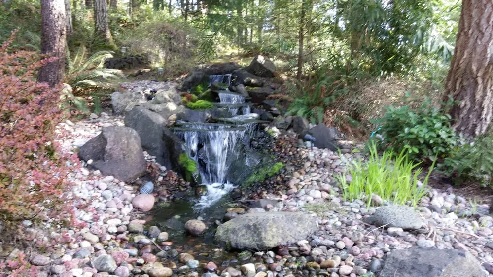 Affordable landscape design in Olympia, WA - Benjamin Landscaping