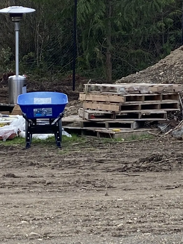 Local yard cleanup service experts serving Olympia, WA - Benjamin Landscaping