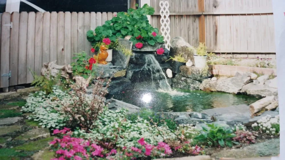Expert yard maintenance in Olympia, WA - Benjamin Landscaping