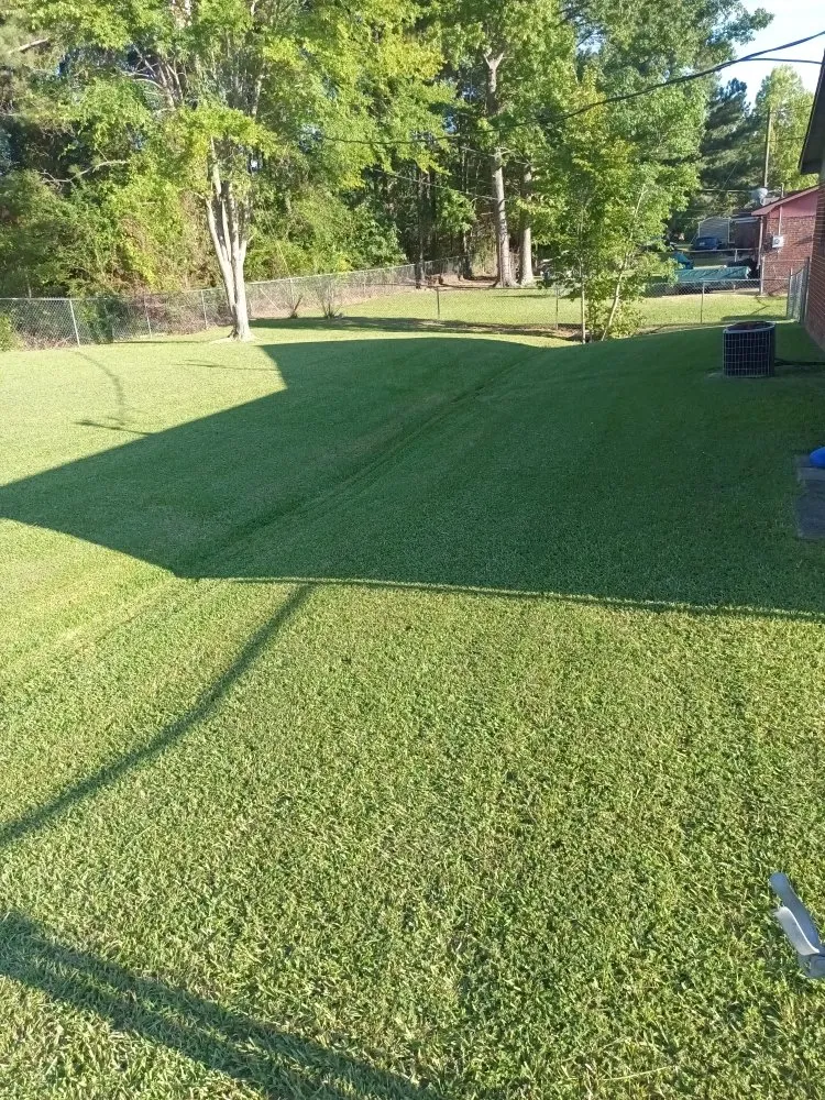Custom yard maintenance in Greenwood, SC - Benjamin Lawn Care