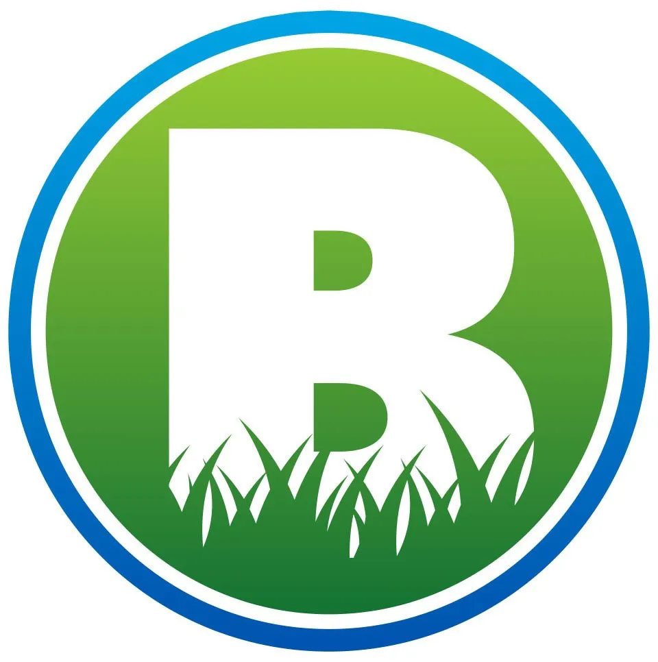 Professional yard cleanup service experts serving North Platte, NE - Benjamin Lawn Care