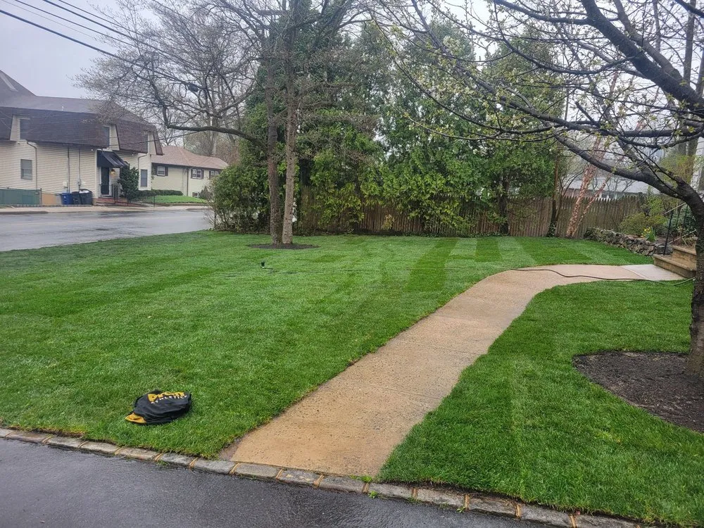 Professional yard cleanup service in Summit, NJ by Benjamin Lawn Care