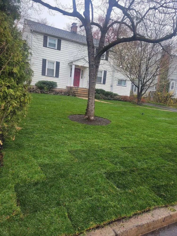 Top-rated yard cleanup service for outdoor upgrades across Summit, NJ - Benjamin Lawn Care