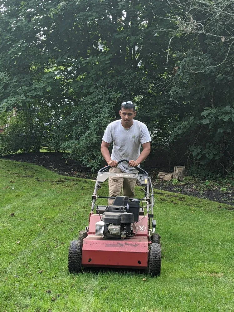 Expert yard cleanup service for homes across Eastport, NY - Benjamin M Rosko Landscaping