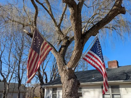 Benjamin M Rosko Landscaping