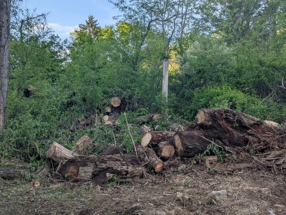 Affordable lawn mowing service for residential properties across Gibsonia, PA - Benjamin Michael Faulkner