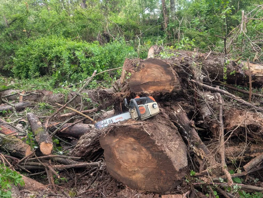 Reliable landscape design experts serving Gibsonia, PA - Benjamin Michael Faulkner