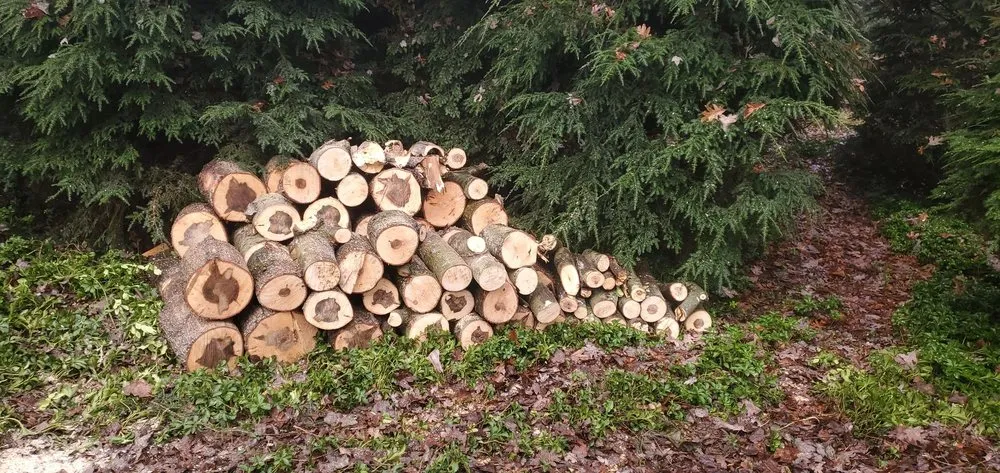 Affordable outdoor landscaping for year-round maintenance in Gibsonia, PA by Benjamin Michael Faulkner