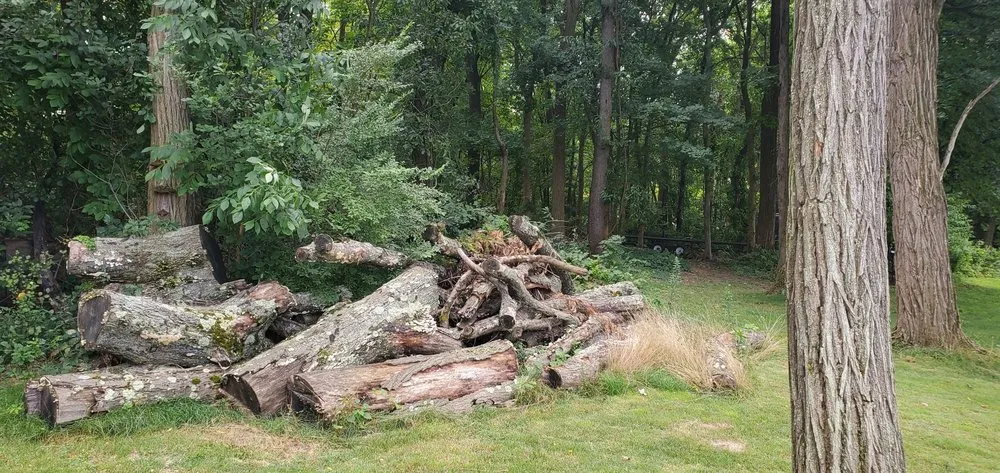 Top-rated residential landscaping for outdoor upgrades across Gibsonia, PA - Benjamin Michael Faulkner