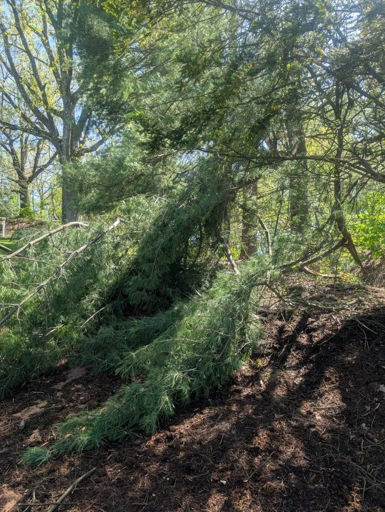Trusted lawn mowing service in Gibsonia, PA - Benjamin Michael Faulkner