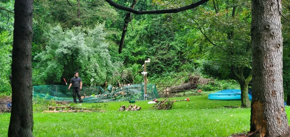 Custom landscaping services in Gibsonia, PA by Benjamin Michael Faulkner