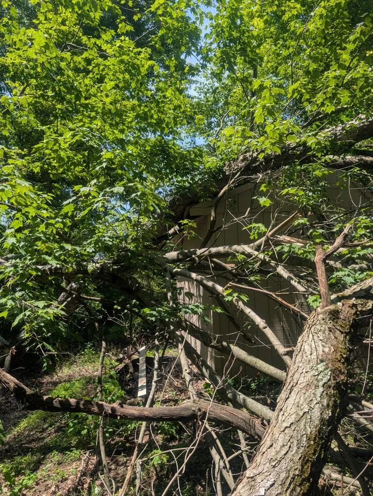 Local yard maintenance in Gibsonia, PA - Benjamin Michael Faulkner