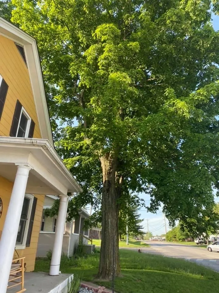 Trusted garden landscaping for residential properties across Felicity, OH - Benjamin's Lawn & Tree Care