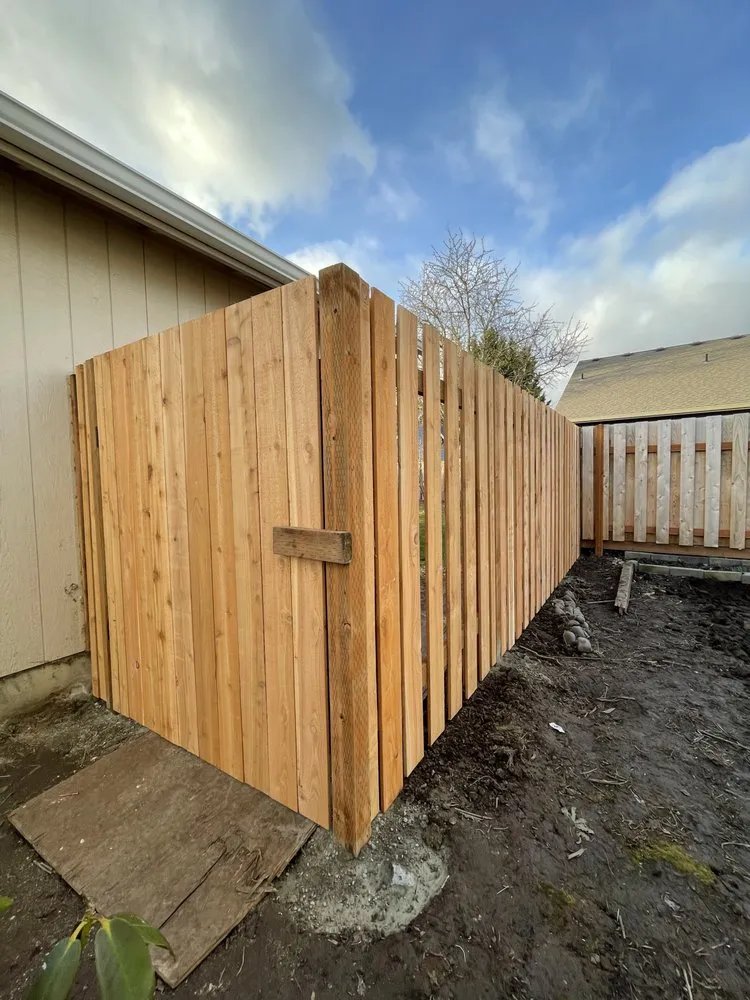 Expert yard cleanup service for beautiful yards across Independence, OR - Benjamins Outdoor Living