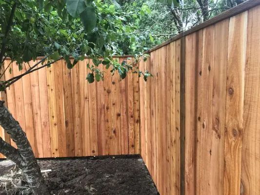 Benjamins Outdoor Living Logo