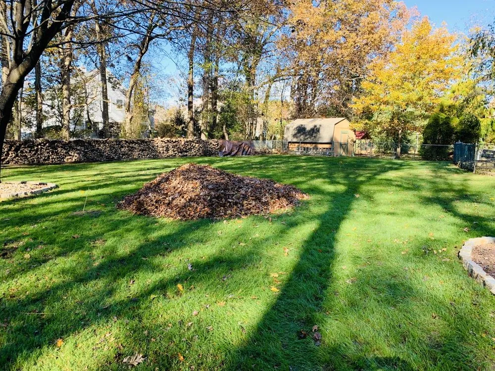 Reliable landscape design in Jackson, NJ - Benjamin's Property Services