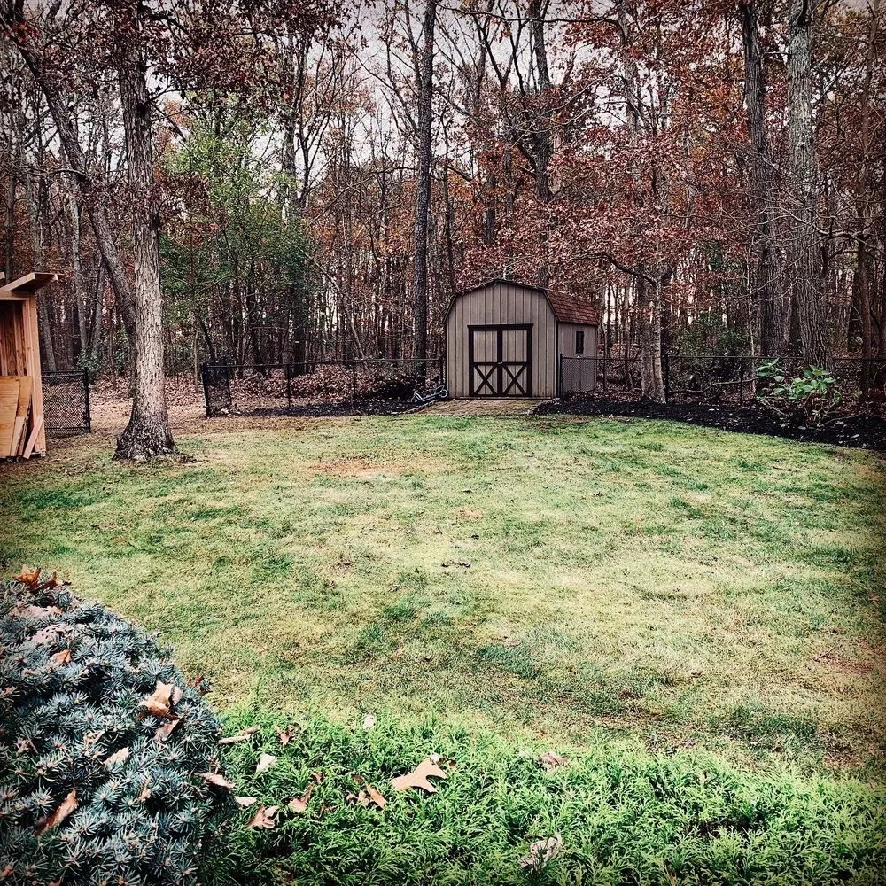 Professional yard cleanup service in Jackson, NJ - Benjamin's Property Services