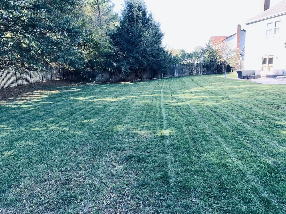 Reliable yard maintenance in Jackson, NJ by Benjamin's Property Services