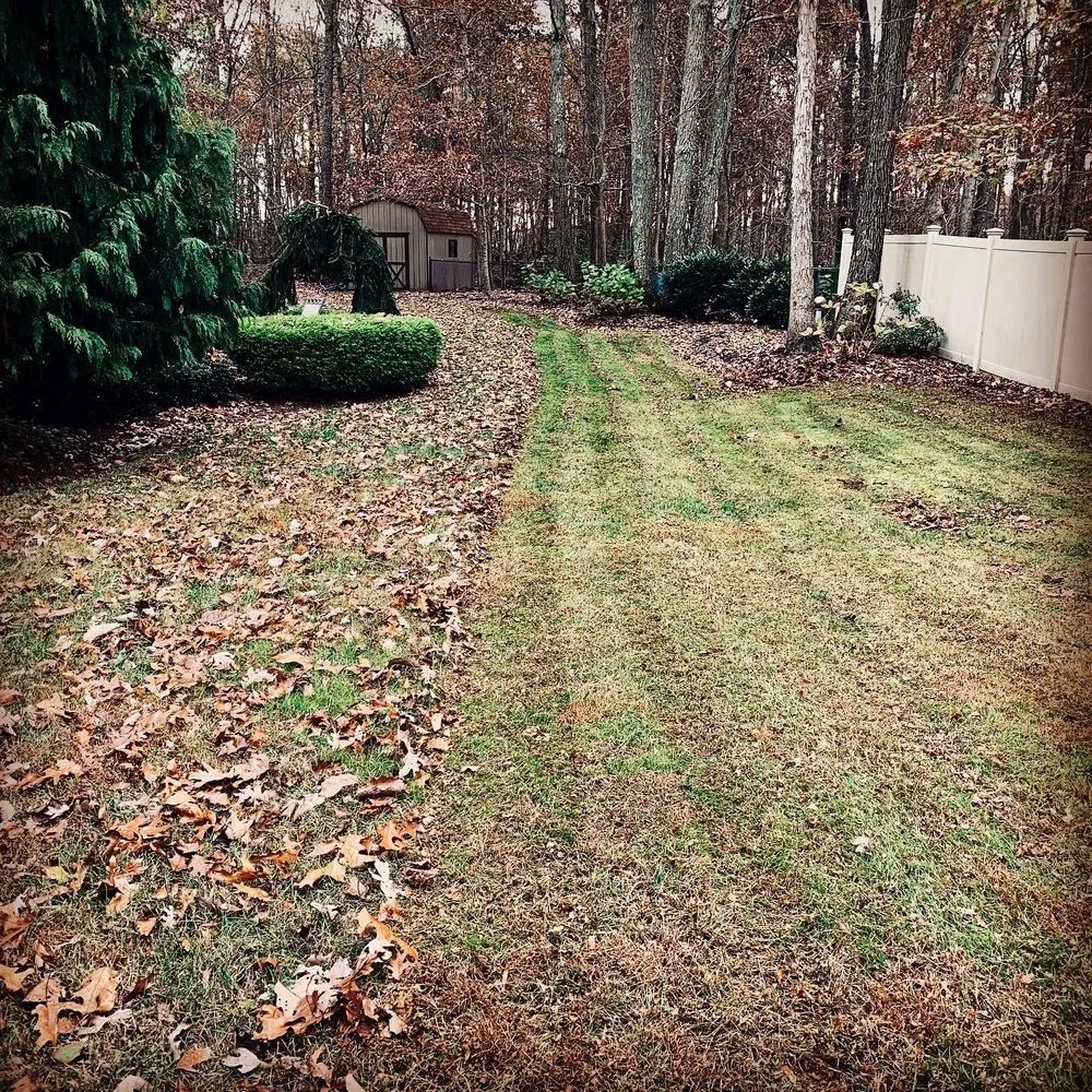 Trusted lawn care service for outdoor upgrades in Jackson, NJ by Benjamin's Property Services