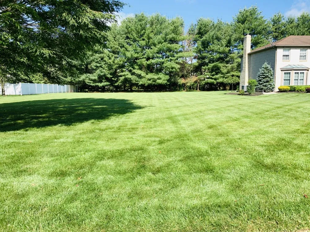 Custom yard maintenance in Jackson, NJ by Benjamin's Property Services