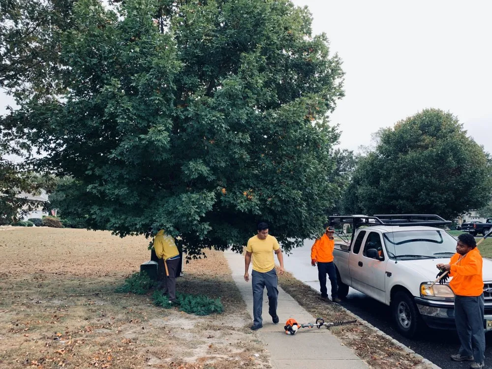 Professional landscape installation for outdoor upgrades in Jackson, NJ by Benjamin's Property Services