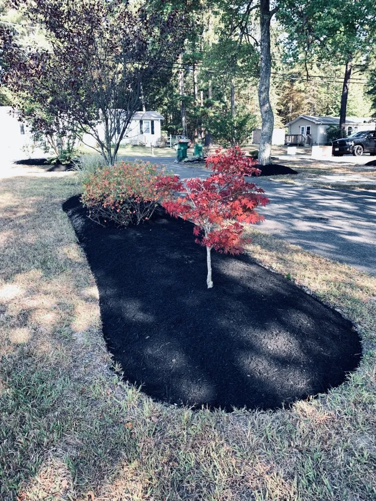 Top-rated yard maintenance for residential properties across Jackson, NJ - Benjamin's Property Services