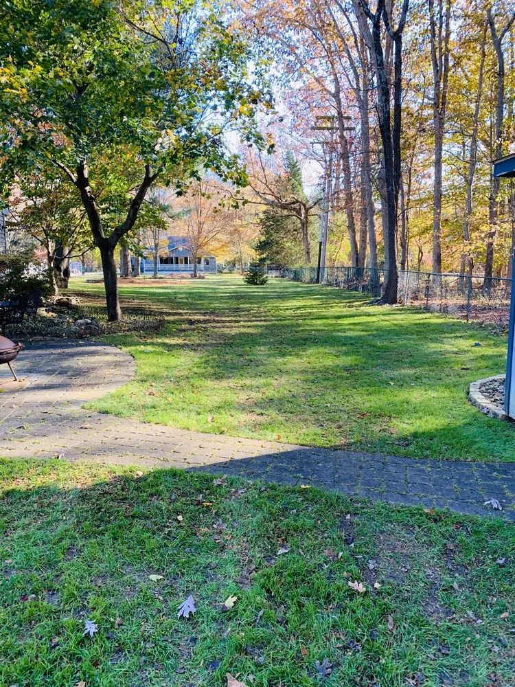 Reliable yard cleanup service experts serving Jackson, NJ - Benjamin's Property Services