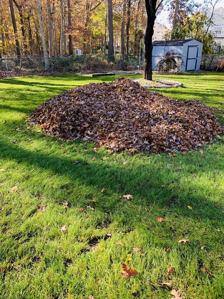 Professional lawn mowing service for year-round maintenance across Jackson, NJ - Benjamin's Property Services