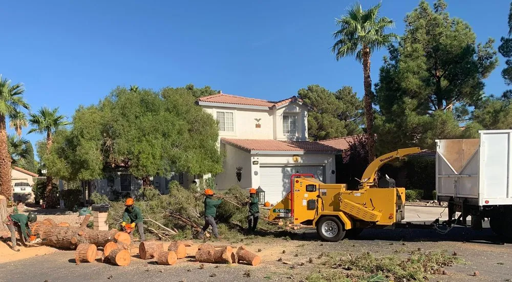 Professional lawn mowing service experts serving Las Vegas, NV - Benjamin's Tree Service