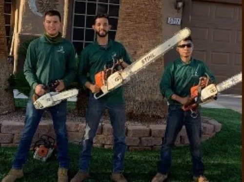 Top-rated outdoor landscaping experts serving Las Vegas, NV - Benjamin's Tree Service