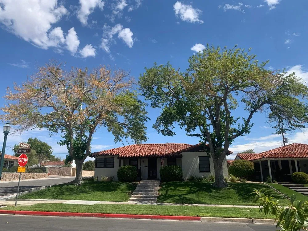 Top-rated landscape design in Las Vegas, NV by Benjamin's Tree Service