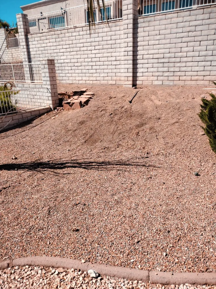 Trusted landscaping services in Las Vegas, NV - Benjamin's Tree Service