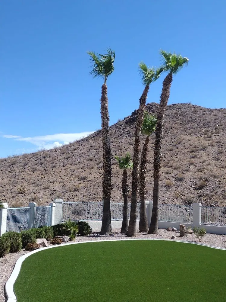 Affordable landscape installation in Las Vegas, NV by Benjamin's Tree Service