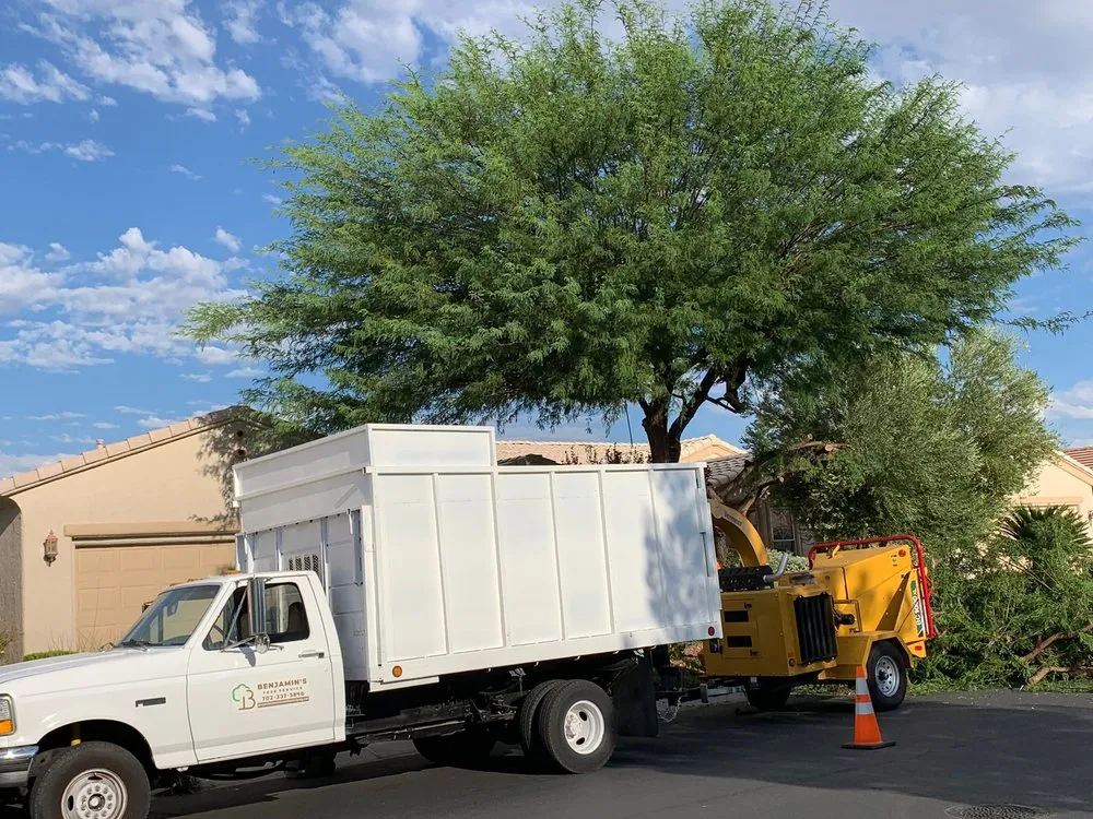 Professional landscaping services in Las Vegas, NV by Benjamin's Tree Service