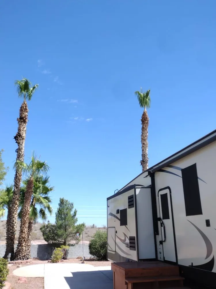 Expert garden landscaping in Las Vegas, NV by Benjamin's Tree Service