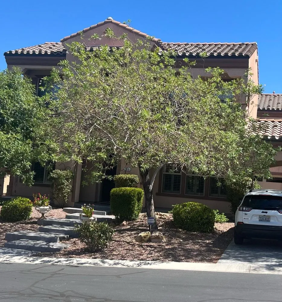 Expert landscape design experts serving Las Vegas, NV - Benjamin's Tree Service