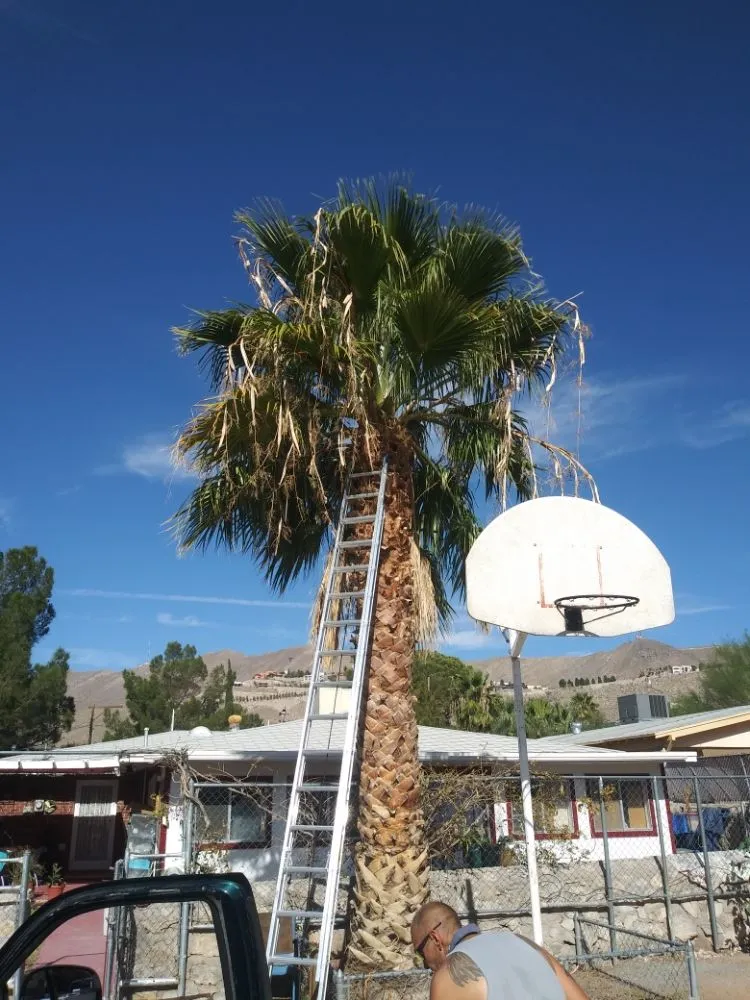 Professional landscaping services for beautiful yards in El Paso, TX by Benjamin's Yard And Landscaping