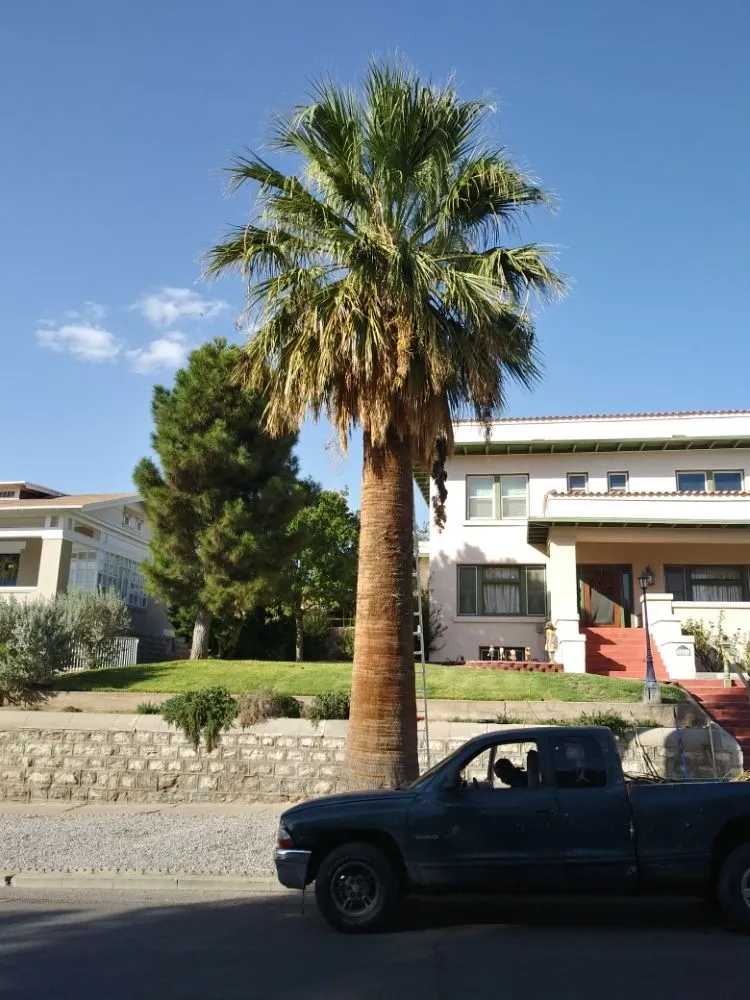 Affordable outdoor landscaping in El Paso, TX by Benjamin's Yard And Landscaping