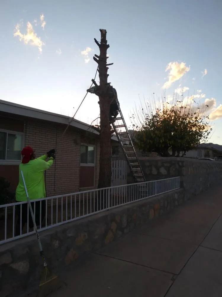 Top-rated landscaping services experts serving El Paso, TX - Benjamin's Yard And Landscaping