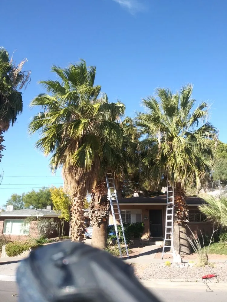 Reliable landscape installation in El Paso, TX - Benjamin's Yard And Landscaping