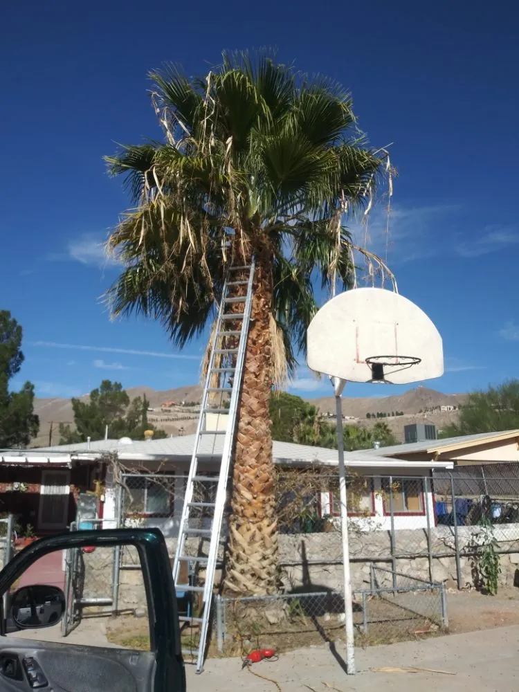 Custom outdoor landscaping near you across El Paso, TX - Benjamin's Yard And Landscaping