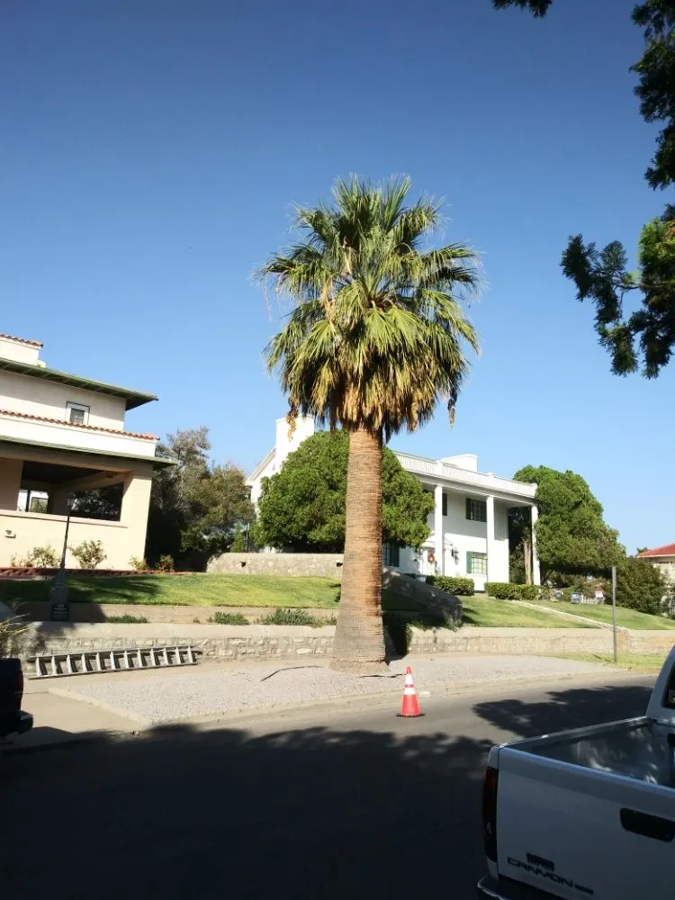 Top-rated lawn mowing service for outdoor upgrades in El Paso, TX by Benjamin's Yard And Landscaping